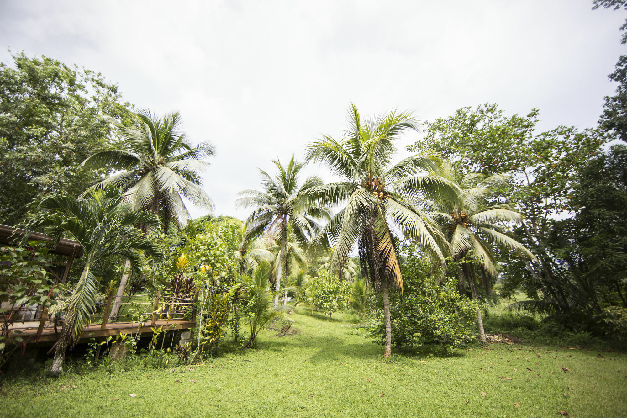 Zimbali Culinary Retreats Villa Negril Exterior photo